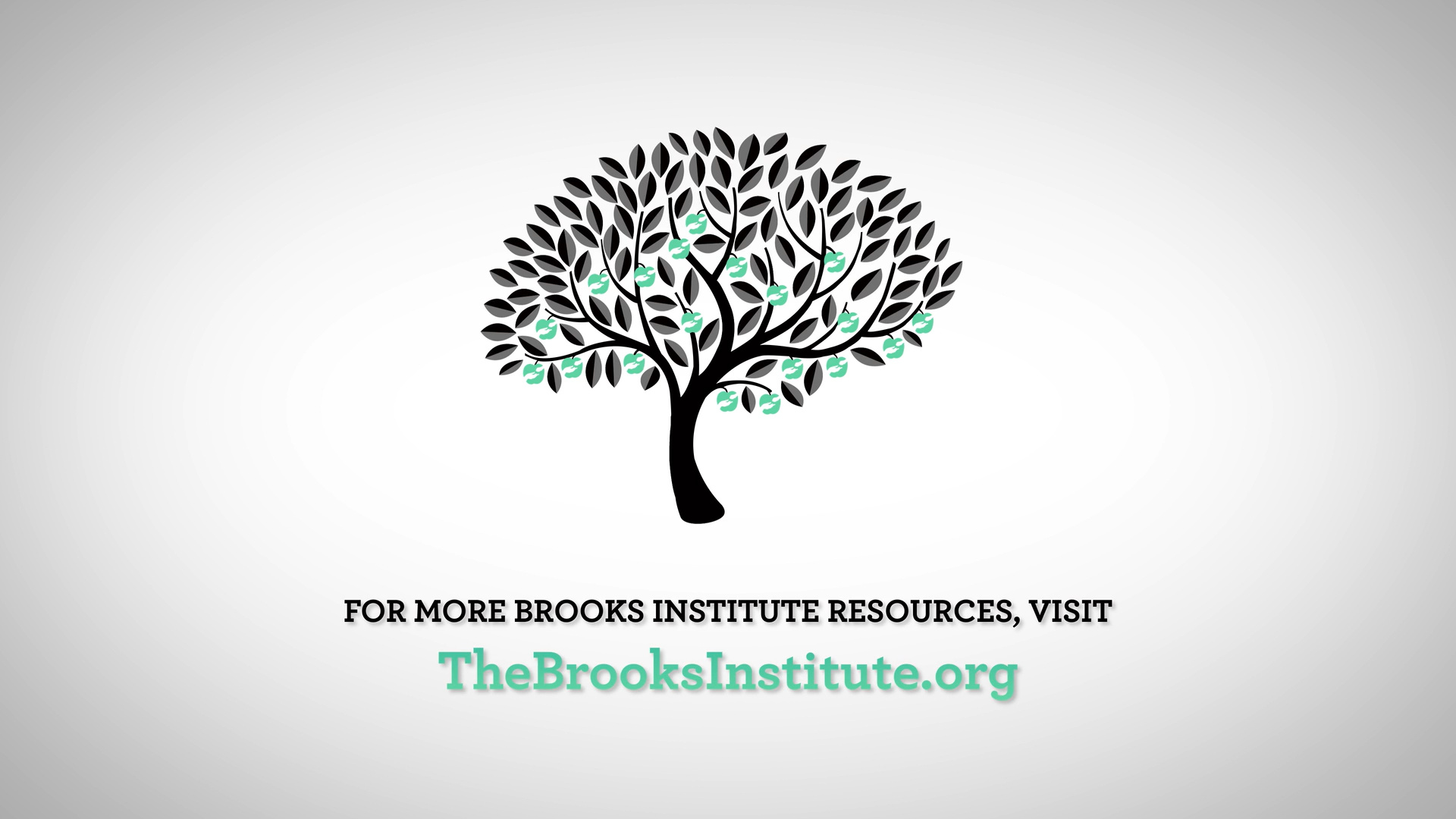 (Watch) The Brooks Institute | Tree Animation